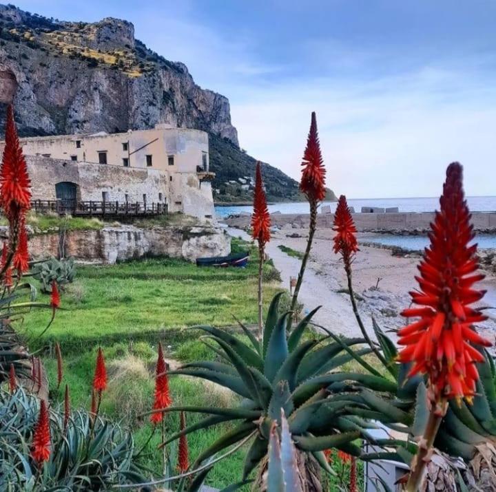 Bleu Bijou Apartment Palermo Eksteriør bilde